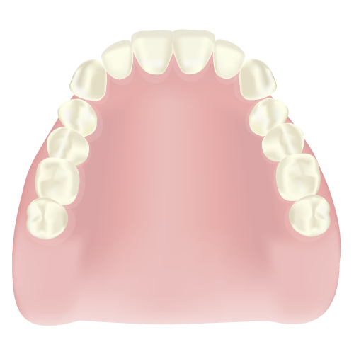 みまや歯科クリニック レジン床 (保険適用)